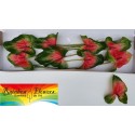 anthurium Mars8Semaforo - Rainbow Flowers