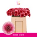 GE BV BOL CHOOCHOO - Klein fust (555) - LG...