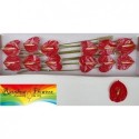 anthurium Tropical12 - Rainbow Flowers
