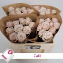 R GR Café 50cm - Wans Roses