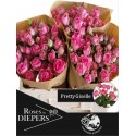 R branchue Pretty Giselle 50cm - Diepers...