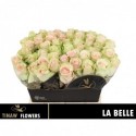 R GR LA BELLE - Tinaw Flower