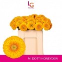 GE MB POM HONEYDEW - Klein fust (555) - LG...