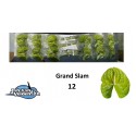 anthurium Grand Slam 12 - Jan van Velden &...