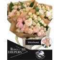 R branchue Silva Sweet 50cm - Diepers Rosen