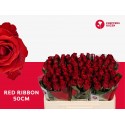 R GR RED RIBBON - Kneppers Rozen