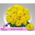 deco BALTICA YELLOW - .