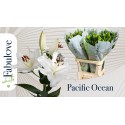 lilium Pacific Ocean 5 95 - Fabulove by...
