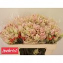 Serruria Ayoba Bridal Star - BlydeFlora