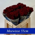 R GR RED NAOMI 55cm A1 3-3 - Aad Meewisse...