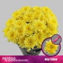 deco ALTAJ YELLOW - .