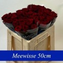 R GR RED NAOMI 50cm A1 3-3 - Aad Meewisse...