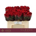 R GR RED NAOMI! - van den Ende Classic