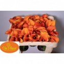 calla Hot Shot45 - Clefleur