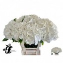 hortensia Verena 60 - Rick Fransen Kwekerij