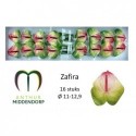 ANTHU zafira x 16 - AnthurMiddendorp