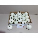 CUCURBITA baby boo echte 15 - Ha-Vo