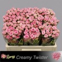 R branchue CREAMY TWISTER - 050 - SS - Sun...
