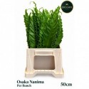 Osaka Nanima - Green Trade Partners