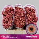 santini YIN YANG SMOKEY - Zentoo