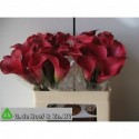 calla UC 791 - G. DE BOEF en Zn. BV