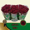 santini Jinda Red 110 - Hans&Ruud Hendriks