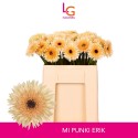 GE MS PUNKI ERIK - Klein fust (555) - LG...