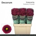 CHR S PURPETTA RED - Decorum CHRYWIJK