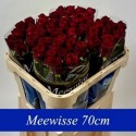 R GR RED NAOMI 70cm A1 3-3 - Aad Meewisse...