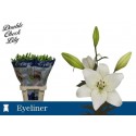 lys EYELINER - Double Check Lily