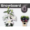 lilium DU SNOWBOARD - QUALILY