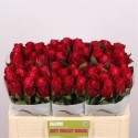 R Gr Movie Star - Rift Valley Roses
