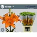 lys Honesty orange - Bredefleur
