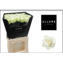 R Gr Avalanche+ - Allure