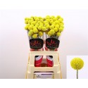 CRAS PAINTBALL POP - Marginpar / MR