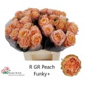 R GR PEACH FUNKY+ - H. und S. Kretz