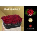 R Gr Red Naomi! - Marjoland