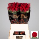 R GR RED NAOMI! - van der Drift Premium