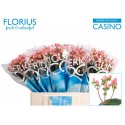 hypericum COCO CASINO - Florius BV