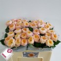 R GR ROMANT VUVUZELA - Wans Roses