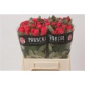 R Gr Tacazzi+ - Panocal International