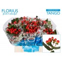 hypericum COCO TANGO - Florius BV
