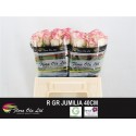 R GR JUMILIA - Flora Ola Ltd.